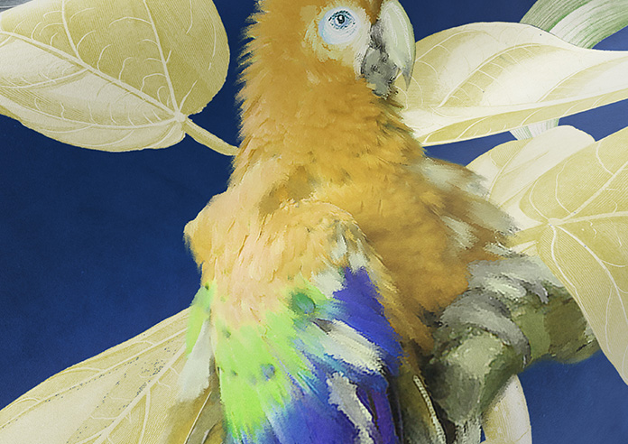 Parrot, Mangrove - Made to Measure Curtain - Image 4